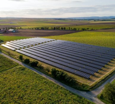 photo-1629726797843-618688139f5a