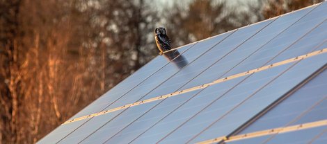 photo-1637100533381-d7e827eafd3d