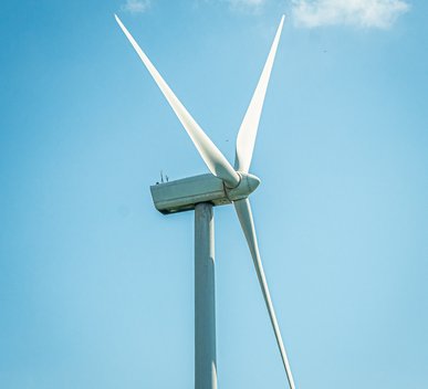 photo-1638068109816-651dc602fe4c